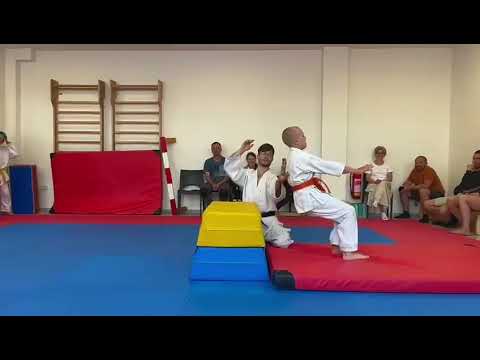 Goshin jutsu, judo, aikido, karate